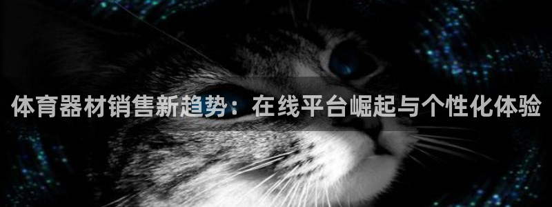 极悦平台官网入口网站：体育器材销售新趋势：在线平台崛