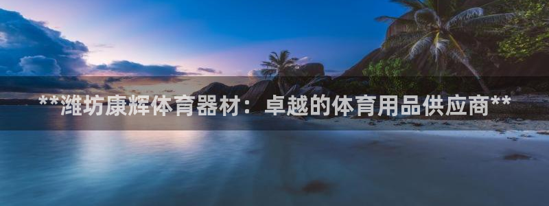 极悦平台是正规平台吗是真的吗：**潍坊康辉体育器材：