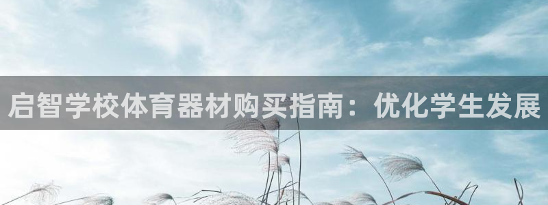 极悦平台官网登录入口下载：启智学校体育器材购买指南：