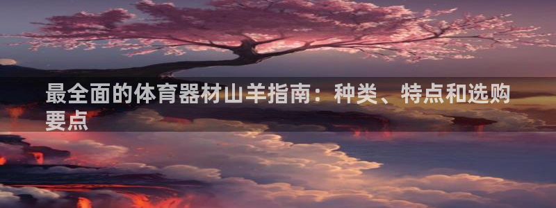 极悦平台注册用户名格式是什么：最全面的体育器材山羊指