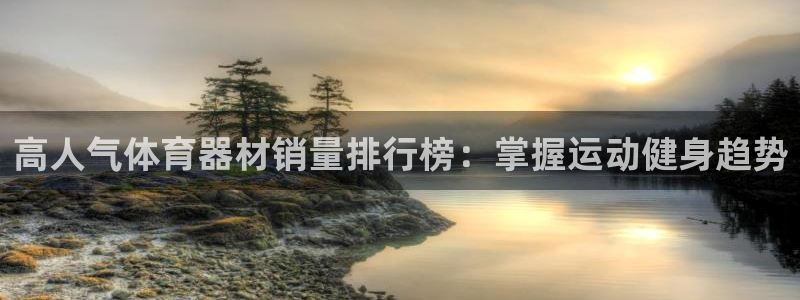 极悦平台注册和登录页面不一样：高人气体育器材销量排行
