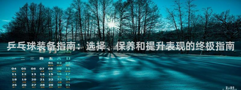 极悦平台官网登录入口网址是多少：乒乓球装备指南：选择