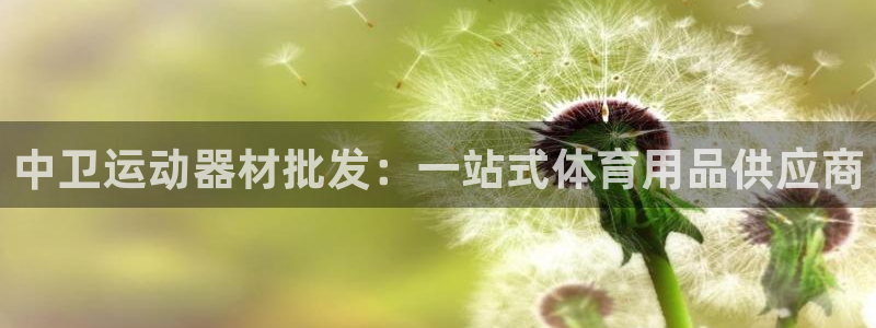 极悦平台用户评价与反馈：中卫运动器材批发：一站式体育