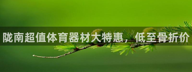 极悦娱乐登录拒绝访问怎么办：陇南超值体育器材大特惠，