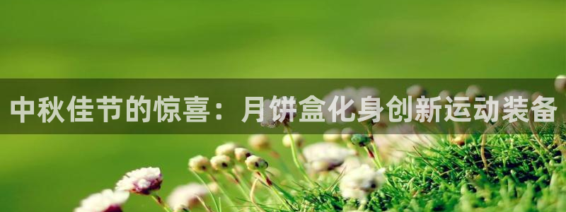 极悦平台使用教程图解：中秋佳节的惊喜：月饼盒化身创新