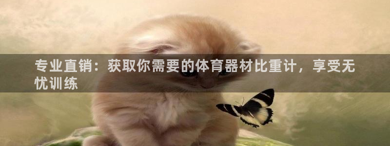 极悦平台代理怎么做的：专业直销：获取你需要的体育器材