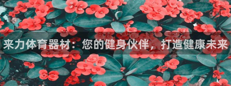 极悦平台注册太7.0.2.4.4更新内容：来力体育器