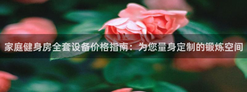 极悦娱乐登录拒绝访问怎么办理：家庭健身房全套设备价格