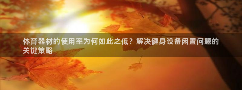 极悦娱乐创始人背景故事：体育器材的使用率为何如此之低