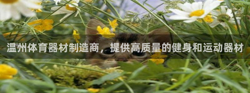 极悦官网首页登录入口网站：温州体育器材制造商，提供高