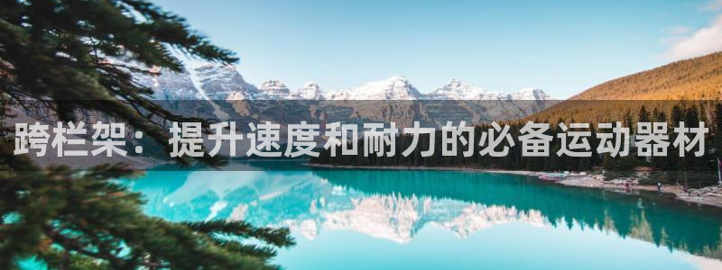 极悦平台注册申请流程详解：跨栏架：提升速度和耐力的必