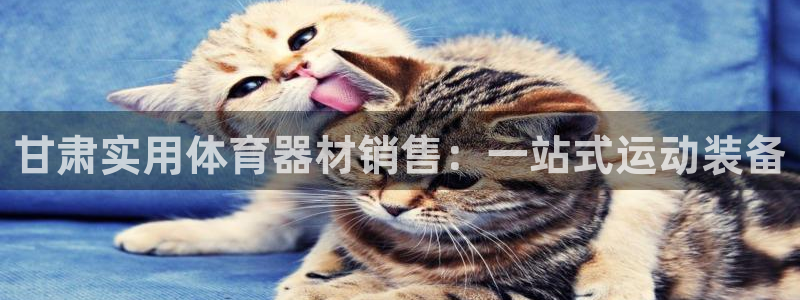 极悦平台代理：甘肃实用体育器材销售：一站式运动装备