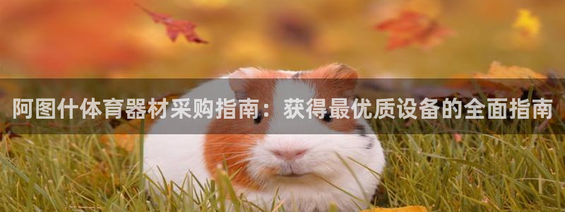 极悦娱乐app官方版本更新内容下载：阿图什体育器材采