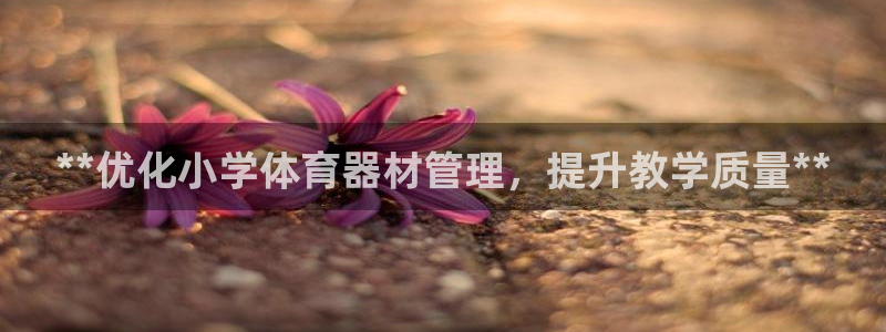 极悦平台的注册流程及注意事项有哪些：**优化小学体育
