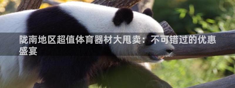 极悦平台方7O777：陇南地区超值体育器材大甩卖：不