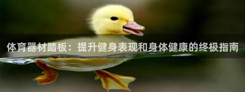 极悦官网：体育器材踏板：提升健身表现和身体健康的终极