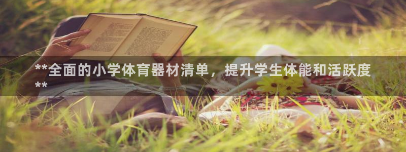 极悦平台官网下载中心：**全面的小学体育器材清单，提