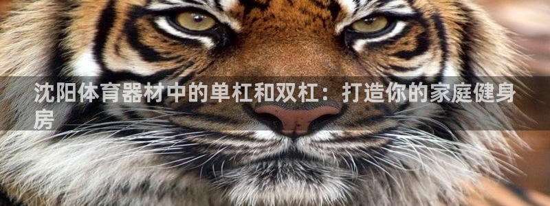 极悦平台注册的弊端及解决方法：沈阳体育器材中的单杠和