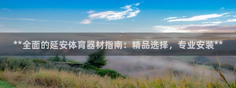 极悦平台好7.0.2.4怎么样：**全面的延安体育器