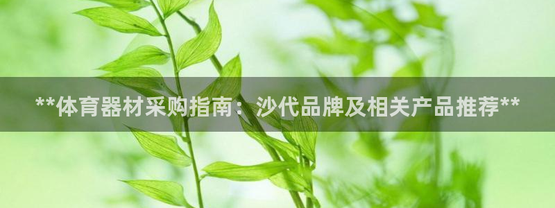 极悦平台代理怎么做赚钱：**体育器材采购指南：沙代品