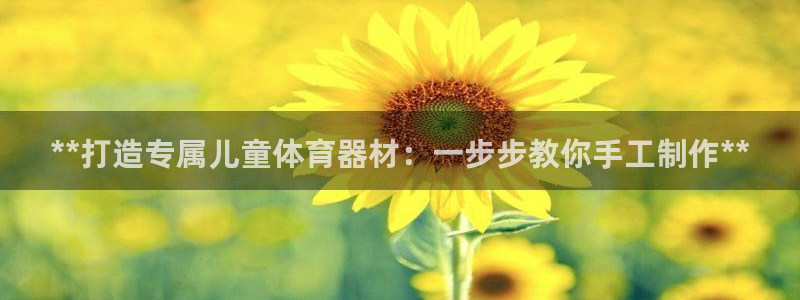 极悦平台注册失败如何解决问题：**打造专属儿童体育器