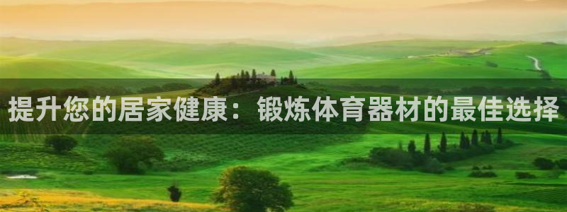 极悦平台是什么：提升您的居家健康：锻炼体育器材的最佳
