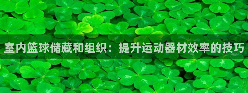 极悦平台是正规平台吗安全吗可靠吗：室内篮球储藏和组织