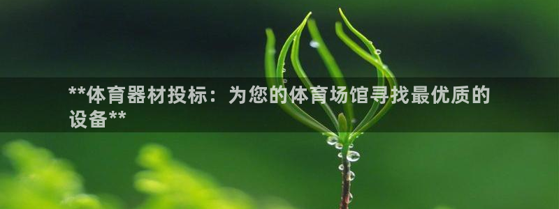 极悦平台有风险吗安全吗：**体育器材投标：为您的体育