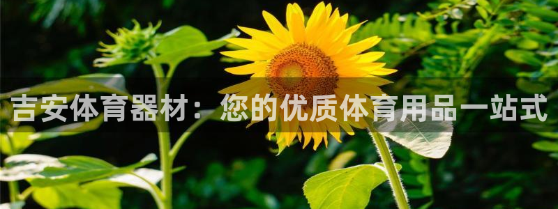 极悦平台注册登录：吉安体育器材：您的优质体育用品一站