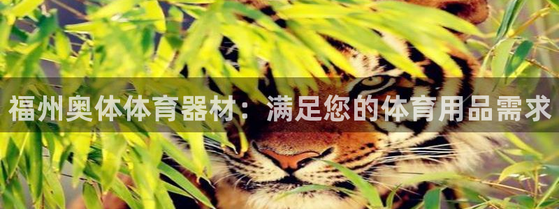 极悦娱乐官网app下载苹果版：福州奥体体育器材：满足