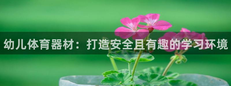 极悦平台安全吗是真的吗：幼儿体育器材：打造安全且有趣