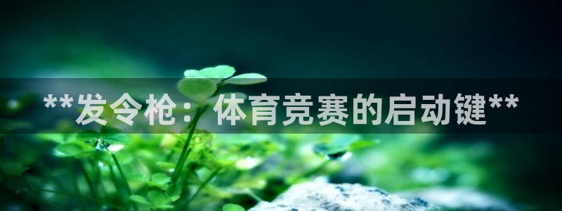 极悦平台与网易合作详情在哪：**发令枪：体育竞赛的启