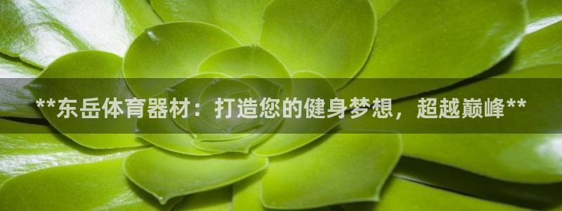 极悦娱乐官方网站首页：**东岳体育器材：打造您的健身