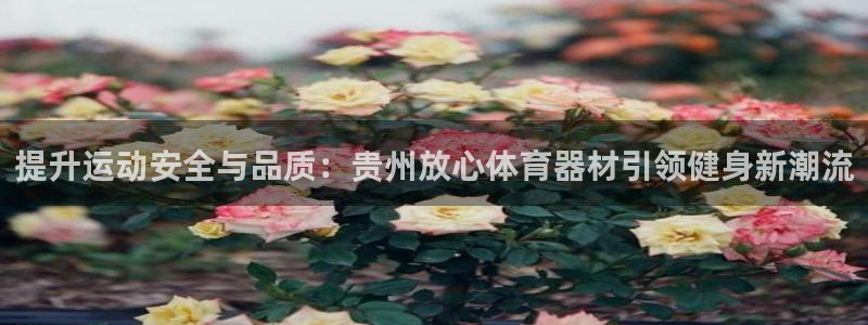 极悦平台网址皮皮虾：提升运动安全与品质：贵州放心体育