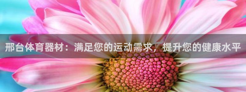 极悦平台是什么平台的：邢台体育器材：满足您的运动需求