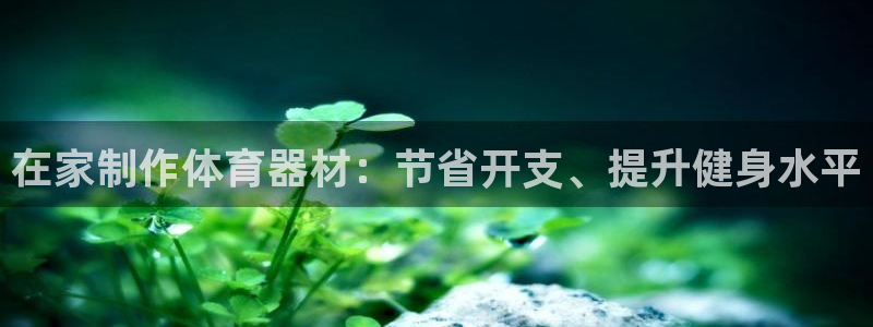 极悦娱乐下载官网安装：在家制作体育器材：节省开支、提