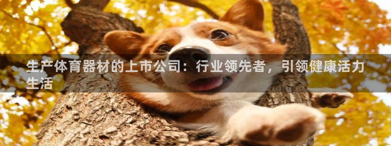 极悦平台创始人背景故事视频：生产体育器材的上市公司：
