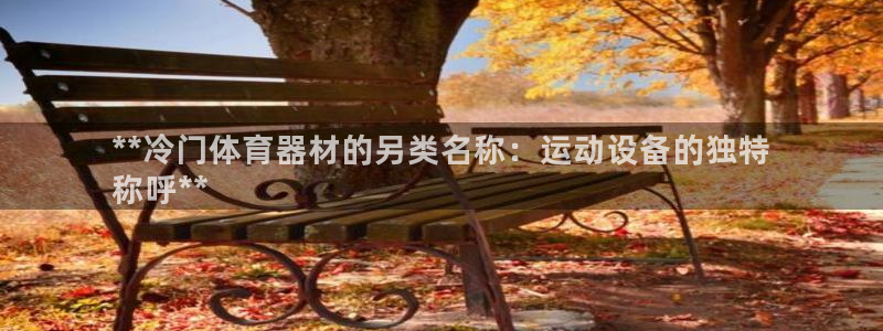 极悦娱乐官网最新版本更新内容下载：**冷门体育器材的