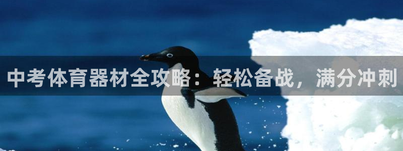 极悦娱乐app官方版本更新内容：中考体育器材全攻略：