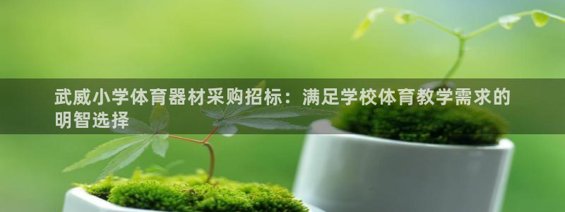 极悦平台客服团队：武威小学体育器材采购招标：满足学校