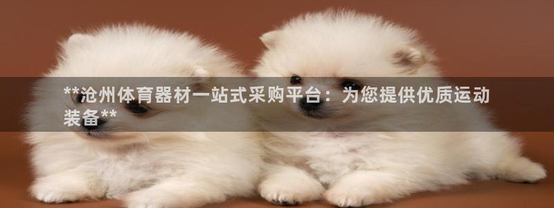 极悦官方网站入口网址是多少：**沧州体育器材一站式采