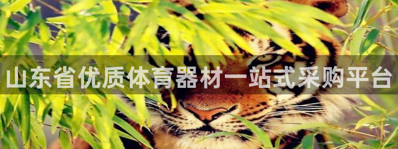 极悦平台官网下载中心：山东省优质体育器材一站式采购平