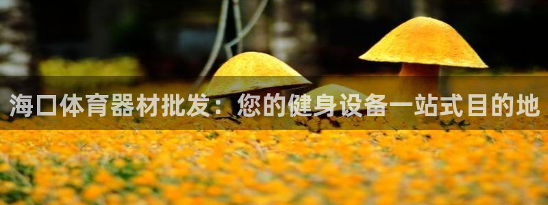 极悦平台官方网站首页入口：海口体育器材批发：您的健身