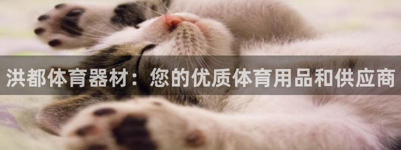 极悦平台登录方式有哪些：洪都体育器材：您的优质体育用