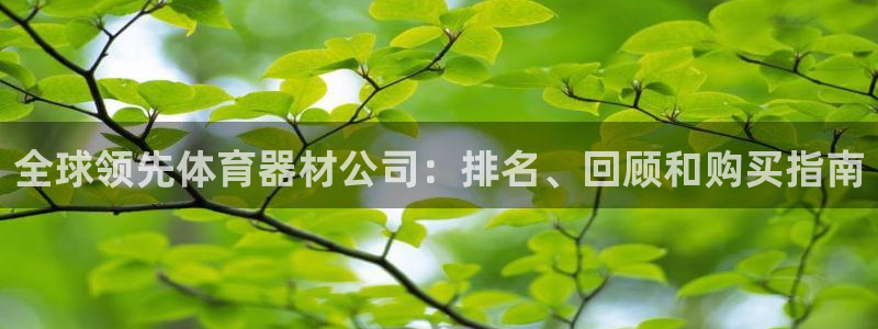 极悦娱乐登录网站每天的工作内容：全球领先体育器材公司