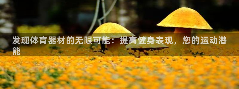 极悦娱乐官网最新版本更新内容是什么：发现体育器材的无