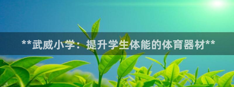 极悦娱乐app官方版本更新内容在哪： **武威小学：