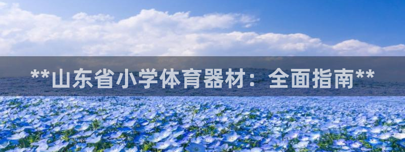 极悦官网的登录方法是什么：**山东省小学体育器材：全