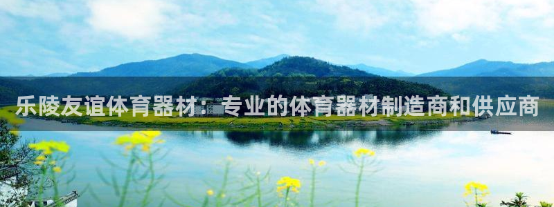 极悦平台和蓝狮平台区别大吗：乐陵友谊体育器材：专业的