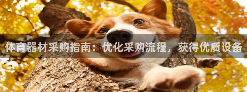 极悦平台代理怎么样啊：体育器材采购指南：优化采购流程